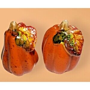 Fall Autumn Gourd Salt & Pepper Shaker Set Thanksgiving Ceramic with Stoppers